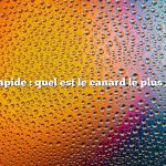 Réponse rapide : quel est le canard le plus savoureux